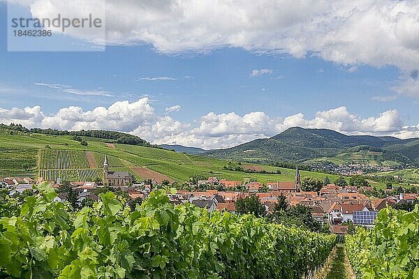 Ortsansicht Birkweiler  Deutsche oder Südliche Weinstrasse  Suedpfalz  Pfalz  Rheinland-Pfalz  Deutschland  Europa