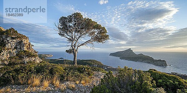 Felsenküste mit einer Insel  Sonnenuntergang über dem Meer  Mirador Jose Sastre  Insel Sa Dragenora  Mallorca  Spanien  Europa