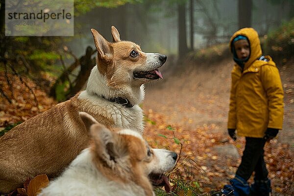 Kind auf dem Bergpfad. Sie werden von einem Hund begleitet. Polnische Berge
