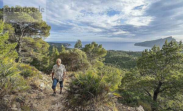 Wanderung nach la Trapa durch lichten Wald  hinten Insel Sa Dragenora  Mallorca  Spanien  Europa