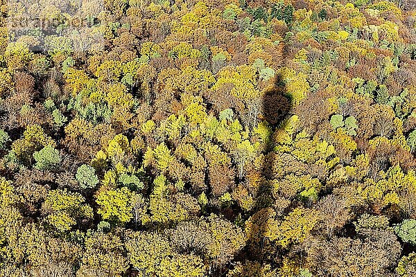 Ausblick vom Fernsehturm auf den bunten Herbstwald  die Silhouette des Turms ist als Schatten erkennbar  Stuttgart  Baden-Württemberg  Deutschland  Europa