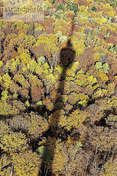 Ausblick vom Fernsehturm auf den bunten Herbstwald  die Silhouette des Turms ist als Schatten erkennbar  Stuttgart  Baden-Württemberg  Deutschland  Europa