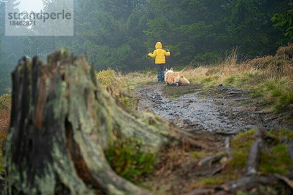 Eine Mutter und ihr kleiner Sohn gehen bei nassem Herbstwetter auf einen Bergpfad. Sie werden von einem Hund begleitet. Polnische Berge