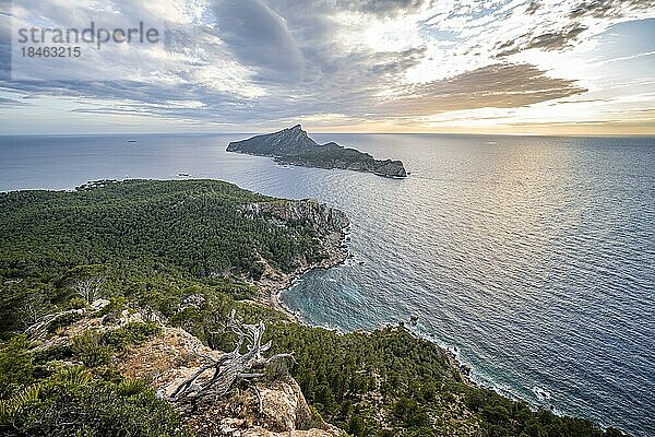 Felsenküste mit einer Insel  Sonnenuntergang über dem Meer  Mirador Jose Sastre  Insel Sa Dragenora  Mallorca  Spanien  Europa