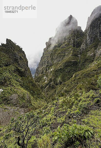 Steile wolkenverhangene Berglandschaft mit Felsformationen  Pico Arieiro zum Pico Ruivo Wanderung  Zentralgebirge Madeiras  Madeira