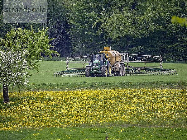 Traktor mit Schleppschuhgestänge beim Düngen  Ausbringen von Gülle auf den Feldern  Laichingen  Baden-Württemberg  Deutschland  Europa