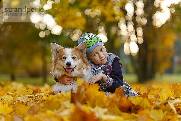 Freunde  Baby und Hund sitzen zusammen in schönen goldenen Blättern. Herbst im Park. Ein siebenjähriger Junge  Polen  Europa