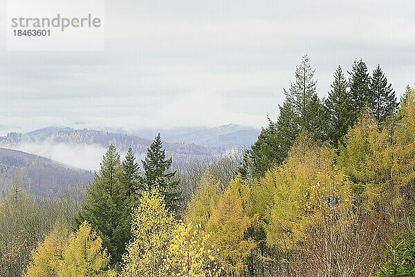Ausblick über herbstlichen Mischwald und Berghöhen bei aufziehendem Nebel  Naturpark Arnsberger Wald  Nordrhein-Westfalen  Deutschland  Europa