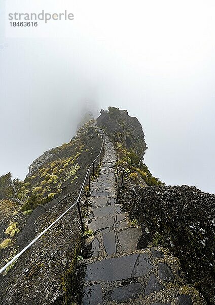 Wanderweg im Nebel  Pico Arieiro zum Pico Ruivo Wanderung  schmaler ausgesetzter Wanderweg an Felsenklippe  Zentralgebirge Madeiras  Madeira  Portugal  Europa