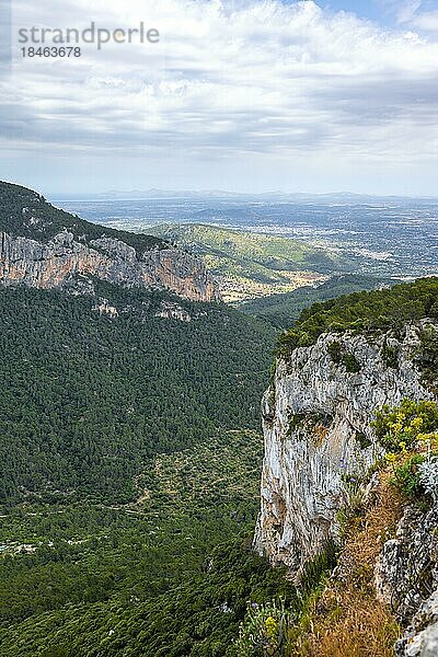 Blick über die Berge Mallorcas  Serra de Tramuntana  Castell d Alaró  Puig dalaró?  Mallorca  Spanien  Europa