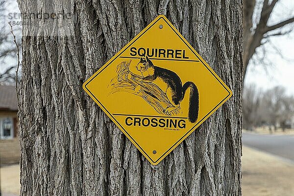 Liberal  Kansas  Ein Schild in einer Wohngegend warnt Autofahrer vor Eichhörnchen  die die Straße überqueren