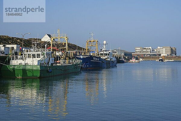 Schiffe im Hafen  Hörnum  Sylt  Nordfriesische Insel  Nordfriesland  Nordsee  Schleswig-Holstein  Deutschland  Europa