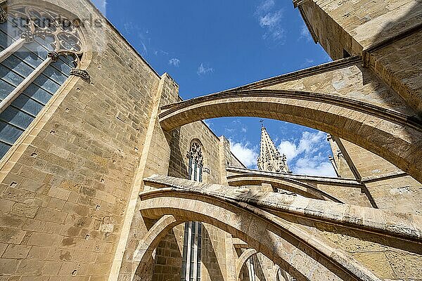 Außenaufnahme  Dach der Kathedrale von Palma  Kathedrale der Heiligen Maria  Palma  Mallorca  Spanien  Europa