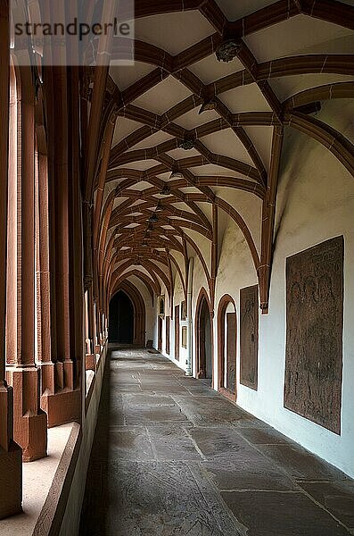 Kreuzgang  Pfarrkirche Sankt Stephan  Mainz  Rheinland-Pfalz  Deutschland  Europa