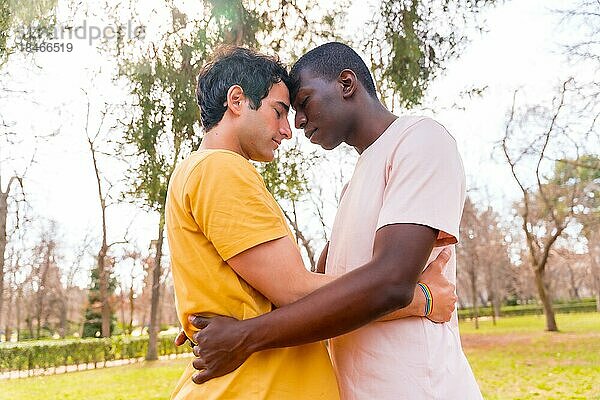 Lgbt Konzept  Paar von multiethnischen Männern in einem Park in einer romantischen Pose