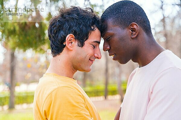 Lgbt Konzept  Paar von multiethnischen Männern in einem Park in einer romantischen Pose unter einem Baum