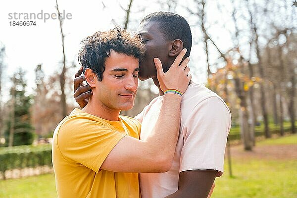 Lgbt Konzept  Paar multiethnische Männer in einem Park küssen sich auf die Stirn in einem Sonnenuntergang