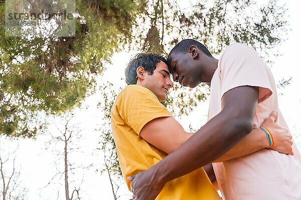 Lgbt Konzept  Paar von multiethnischen Männern in einem Park in einer romantischen Pose unter einem Baum