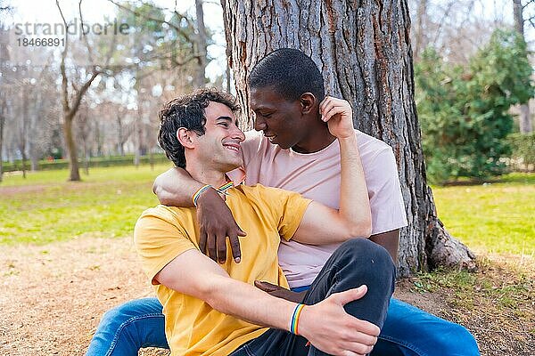 Paar multiethnische Männer in einem Park  lgbt Konzept  sitzen zusammen einen Baum in einer romantischen Pose