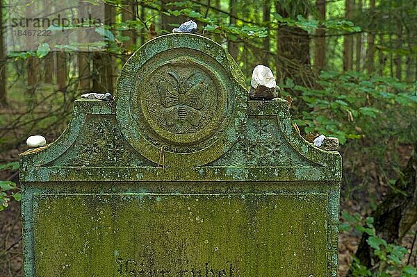 Symbolik auf einem jüdischen Grabstein  Ortschaft Wingst im Landkreis Cuxhaven (der Friedhof liegt mitten im Wald ausserhalb der Ortschaft)