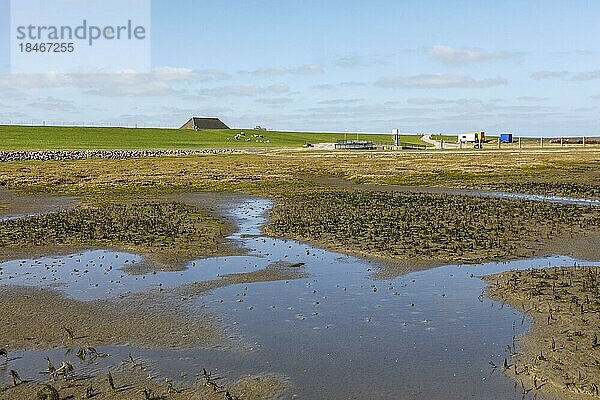 Wattlandschaft bei Tetenbüll in Nordfriesland  Blick auf den Deich am Everschopsiel Hafen  Tetenbüll  Schleswig-Holstein  Deutschland  Europa