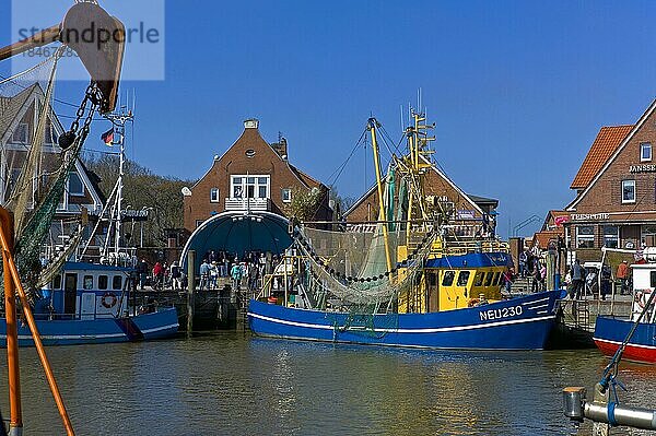 Krabbenkutter im Hafen  Neuharlingersiel  Ostfriesland  Landkreis Wittmund  Deutschland  Europa