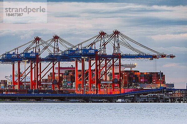 Jade-Weser-Port  Containerterminal in Wilhelmshafen  Umschlag der Ladung eines großen Containerschiffs  Wilhelmshaven  Niedersachsen  Deutschland  Europa