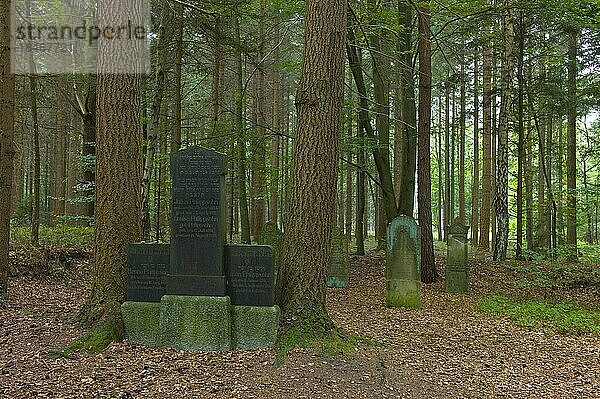 Jüdischer Friedhof im Wald  Ortschaft Wingst im Landkreis Cuxhaven (der Friedhof liegt mitten im Wald ausserhalb der Ortschaft)