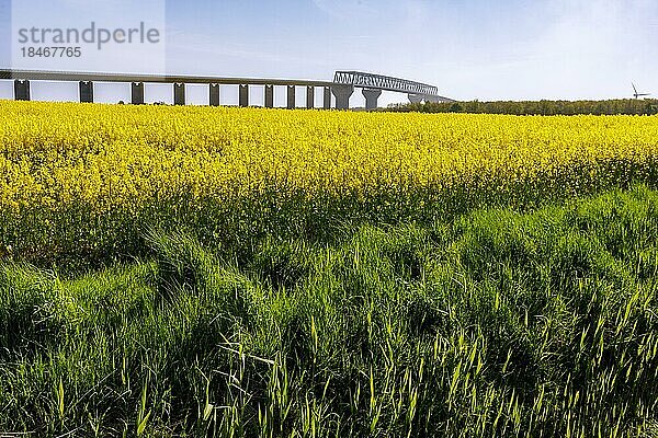 Hochbrücke Brunsbüttel führt die B5 über den Nord-Ostsee-Kanal