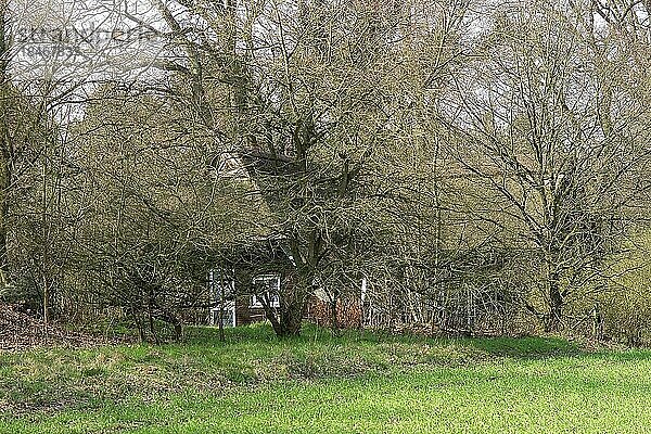 Reetdachhaus in Fischerhude