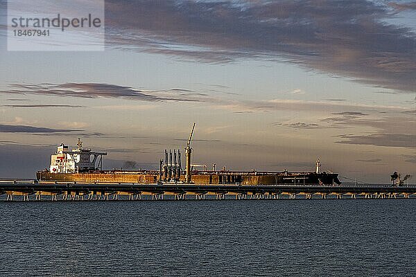 Rohöltanker Landbridge Prosperity an der Löschbrücke der NWO im Jadebusen  Nordsee  mit 333m Länge gehört er mit zu den größten Tankschiffen seiner Klasse  Wilhelmshaven  Niedersachsen  Deutschland  Europa