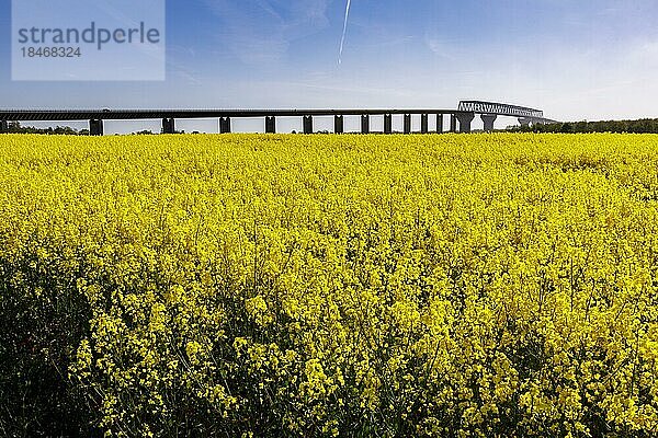 Hochbrücke Brunsbüttel über den Nord-Ostsee-Kanal  Bundesstraße  B5  Brunsbüttel  Schleswig-Holstein  Deutschland  Europa