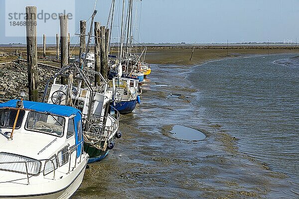 Everschopsiel Hafen in Nordfriesland bei ablaufendem Wasser  tidenbedingtes Trockenfallen der Wasserfahrzeuge  Tetenbüll  Schleswig-Holstein  Deutschland  Europa