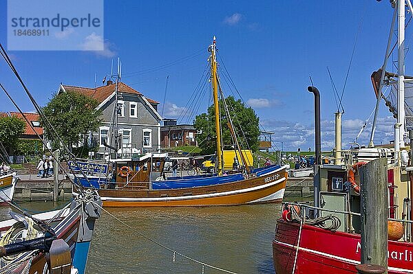 Fischkutter im Hafen von Neuharlingersiel  Landkreis Wittmund  Ostfriesland  Deutschland  Europa