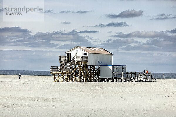 Sankt Peter-Ording-Strand mit den typischen Pfahlbauten  hier die Toiletten  Sankt Peter-Ording  Schleswig-Holstein  Deutschland  Europa