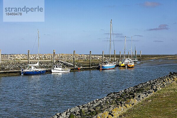 Everschopsiel Hafen in Nordfriesland bei ablaufendem Wasser  Tetenbüll  Schleswig-Holstein  Deutschland  Europa