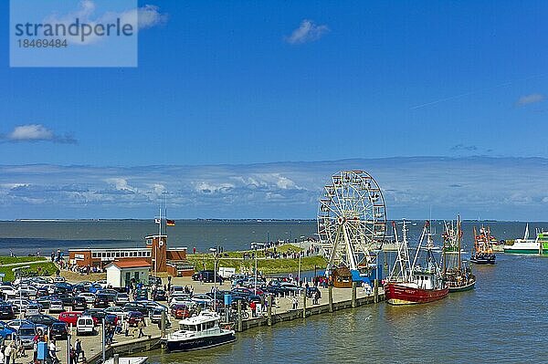 Geschmückte Krabbenkutter im Hafen von Neuharlingersiel  Karussell  Landkreis Wittmund  Deutschland  Europa