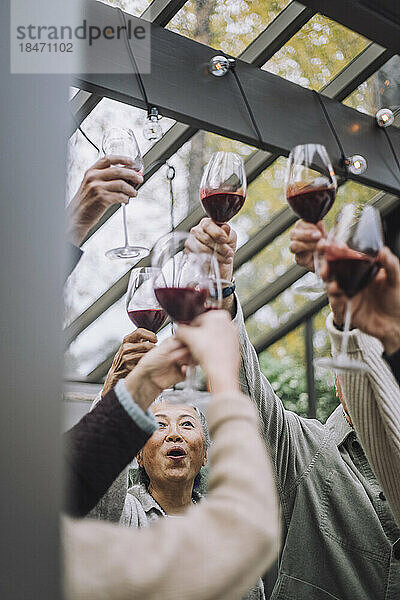 Ältere männliche und weibliche Freunde stoßen mit Weingläsern auf einer Dinnerparty an