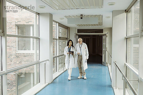 In voller Länge von weiblichen und männlichen Ärzten diskutieren über digitale Tablette beim Gehen zusammen im Krankenhaus Korridor