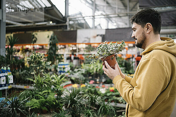 Mann kauft Topfpflanze im Laden