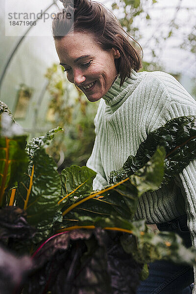 Lächelnde Frau kümmert sich um Gemüse im Garten