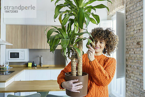 Lächelnde Frau mit Topfpflanze zu Hause