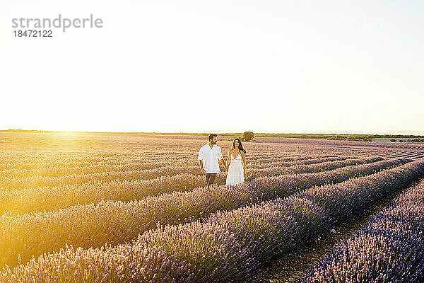 Junge Frau geht mit Mann im Lavendelfeld spazieren