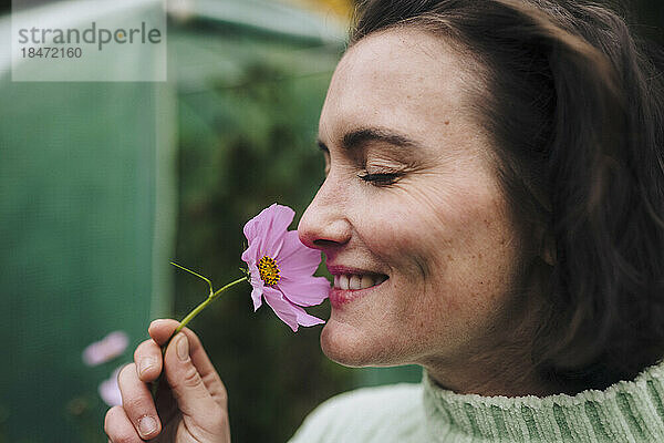 Glückliche Frau riecht rosa Blume