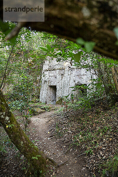 Weg zum Eingang der etruskischen Nekropole San Guilano in Latium  Italien