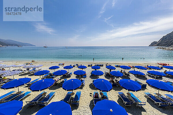 Italien  Ligurien  Monterosso al Mare  Reihen von Liegestühlen und Sonnenschirmen am Sandstrand entlang der Cinque Terre