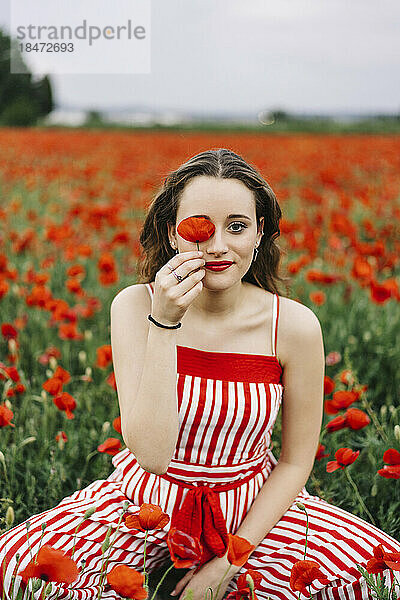 Lächelnde schöne Frau hält Mohnblume über Gesicht auf dem Feld