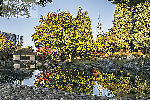Deutschland  Hamburg  Japanischer Garten im Park Planten un Blomen mit dem Heinrich-Hertz-Turm im Hintergrund