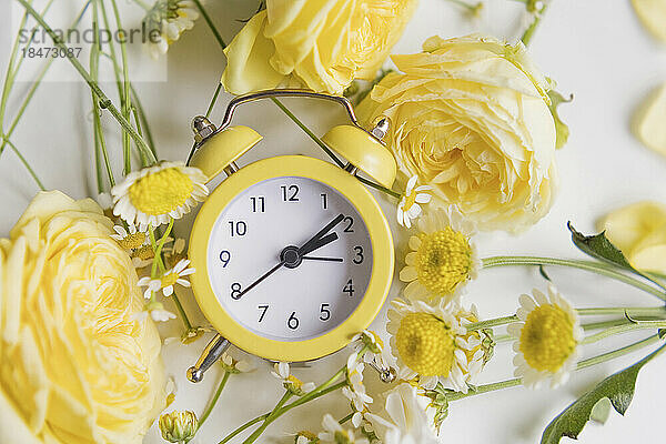 Uhr inmitten gelber und weißer Blumen auf dem Tisch