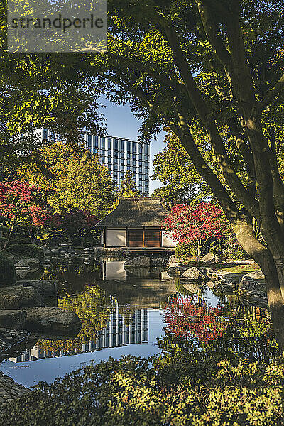 Deutschland  Hamburg  Teich und japanisches Teehaus im Park Planten un Blomen